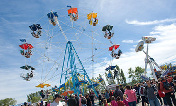 Ferris Wheel at the Canterbury A & P Show