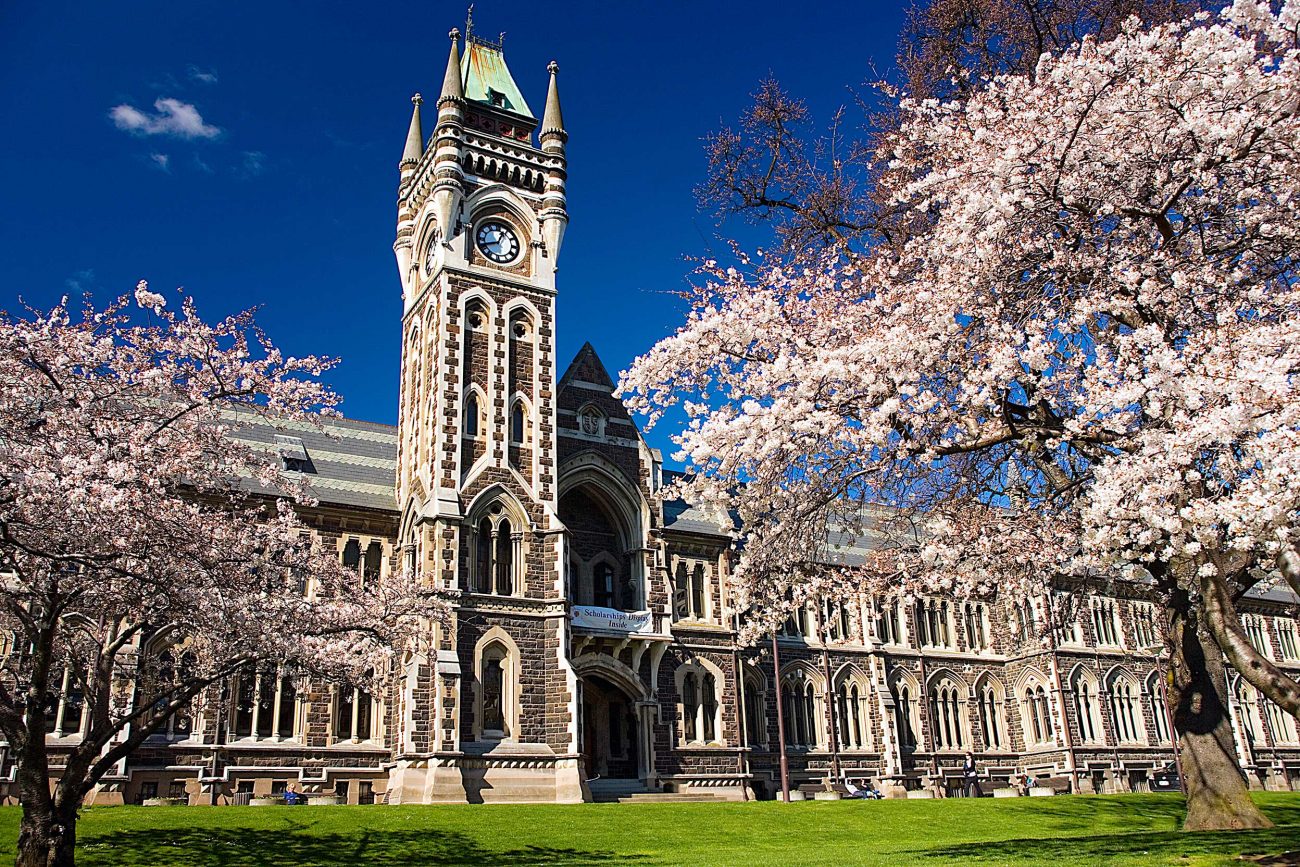 Dunedin - Backpacker Bus New Zealand